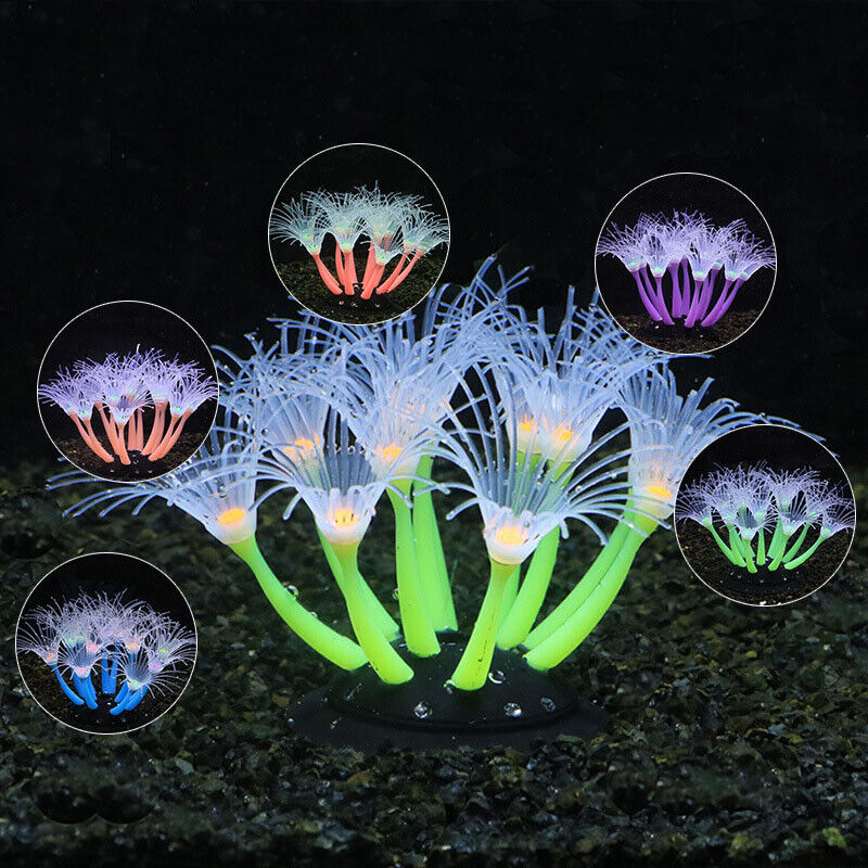 Silicone Glowing Landscape Art - Live Plant Aquarium ulasan dan harga