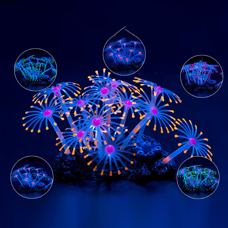 Silicone Glowing Landscape Art - Live Plant Aquarium ulasan dan harga