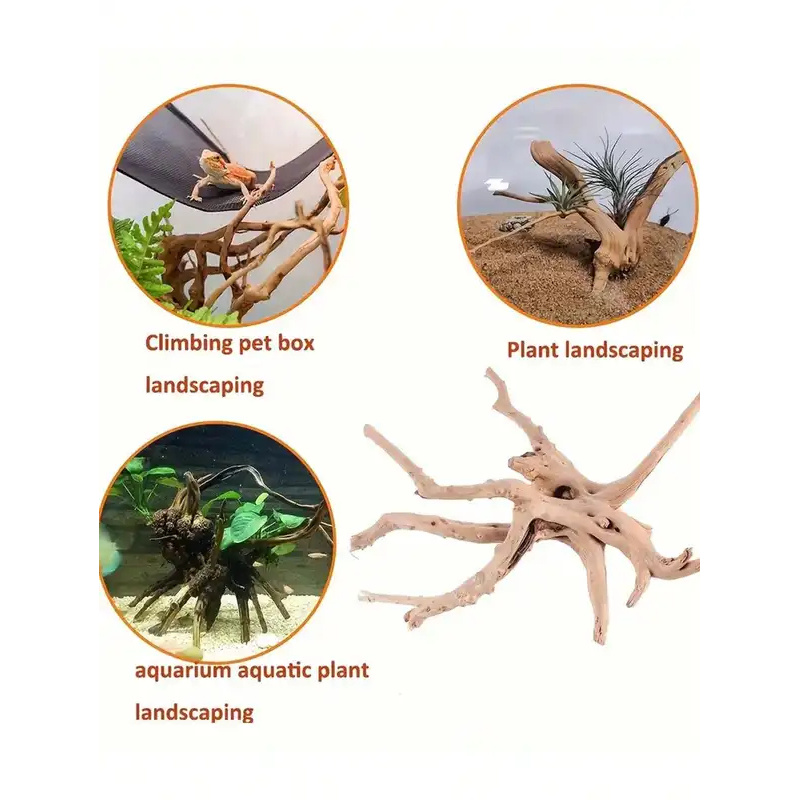 Natural Driftwood for Aquarium - Aquarium Driftwood ulasan dan harga