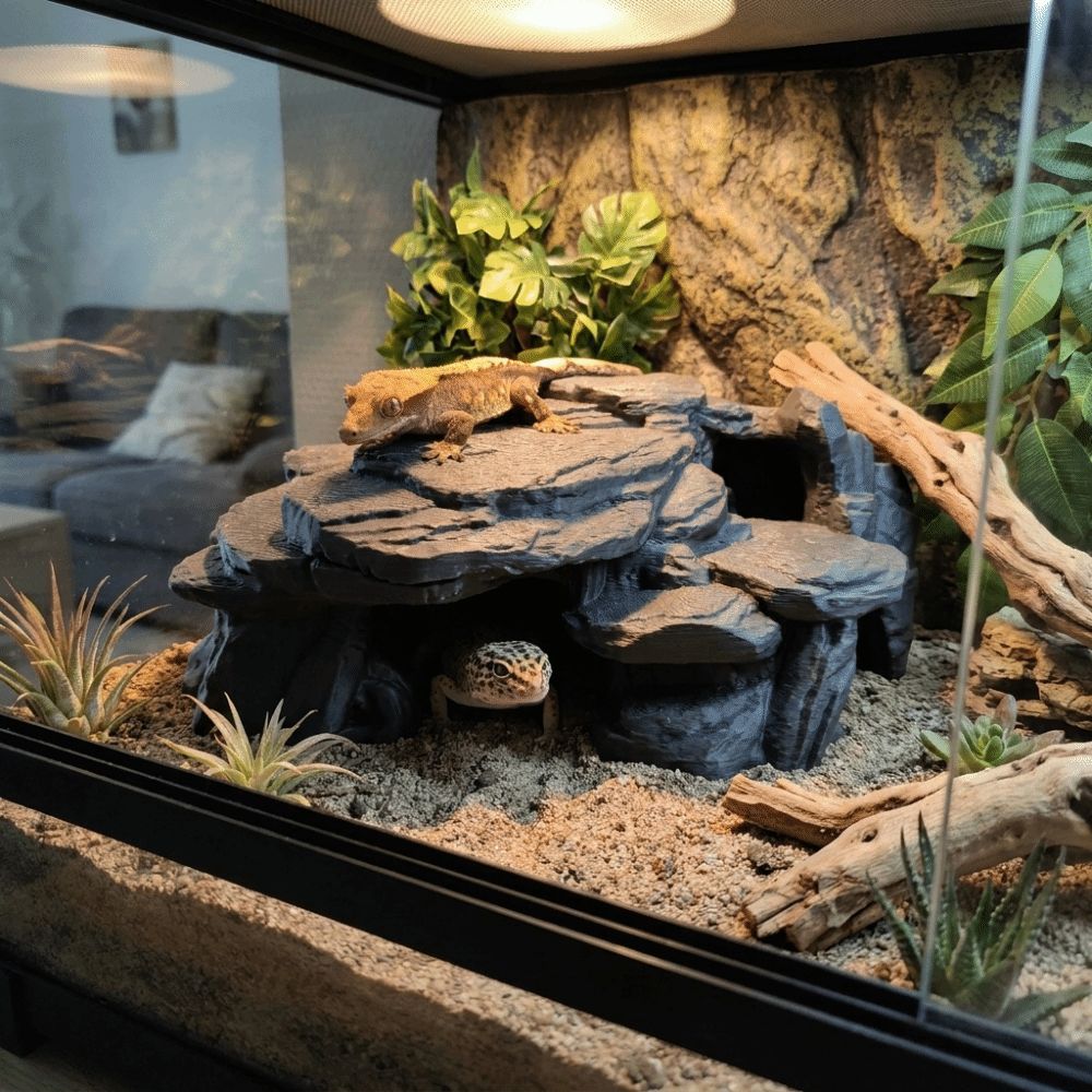 3D Printing Fish Tank Rockery  - Aquarium Driftwood ulasan dan harga