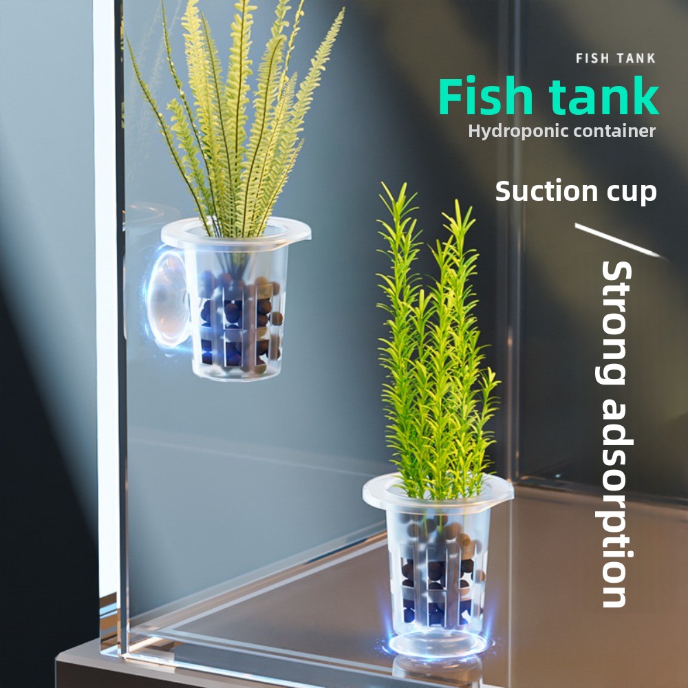 10Pcs Transparent Plant Hydrop - Aquarium Plants Live ulasan dan harga