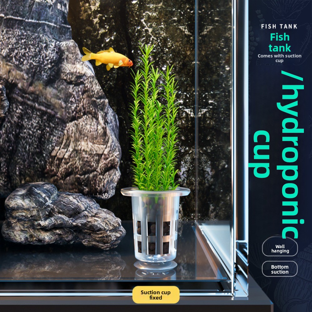 10Pcs Transparent Plant Hydrop - Aquarium Plants Live ulasan dan harga