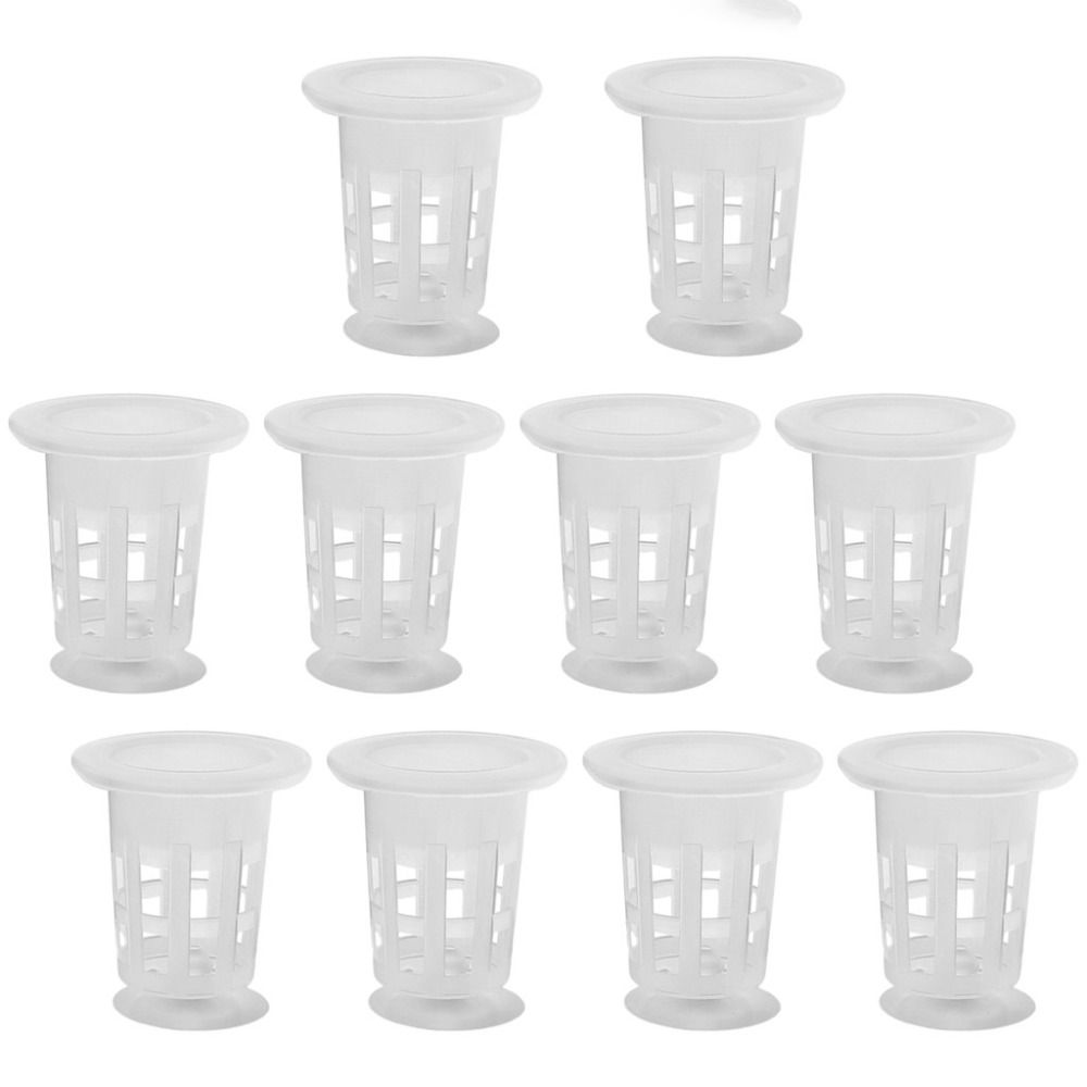 10Pcs Transparent Plant Hydrop - Aquarium Plants Live ulasan dan harga
