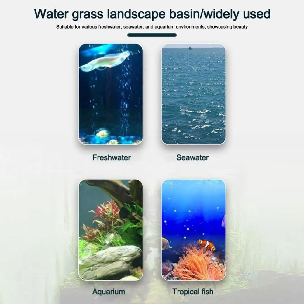 10Pcs Transparent Plant Hydrop - Aquarium Plants Live ulasan dan harga