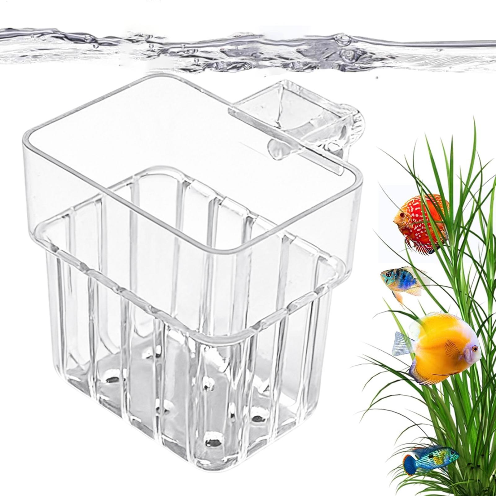 Transparent Hangable Aquarium  - Aquarium Plants Live ulasan dan harga