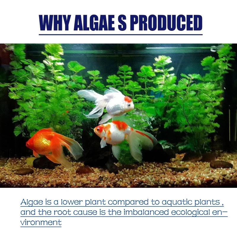 50g High Efficiency Algaecide  - Aquarium Moss ulasan dan harga