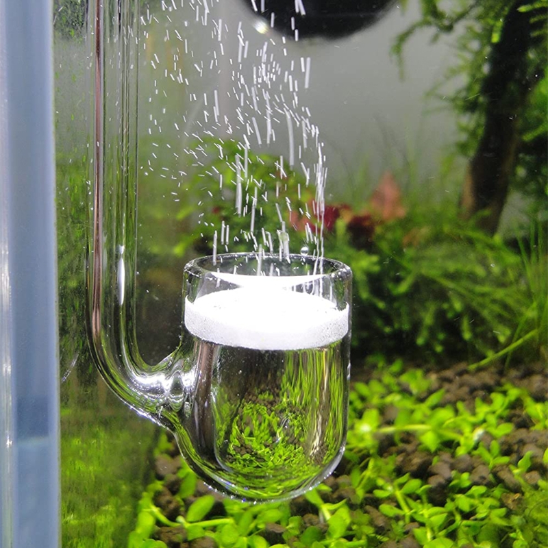 D0AD Glass CO2 Diffuser for Aq - Aquarium Liquid Carbon ulasan dan harga