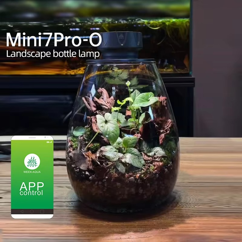 COB Microlandscape Plant Fill  - Planted Tank ulasan dan harga
