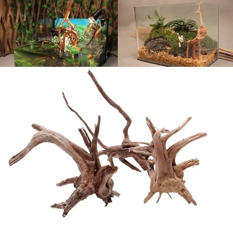 Natural Tree Trunk Driftwood A - Aquarium Driftwood ulasan dan harga