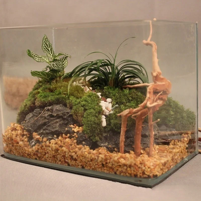 Natural Tree Trunk Driftwood A - Aquarium Driftwood ulasan dan harga
