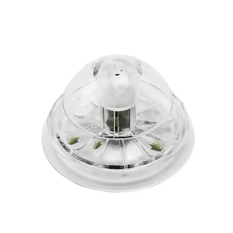 2026 New 6/8CM Clear Plastic S - Planted Aquarium Cleaning ulasan dan harga