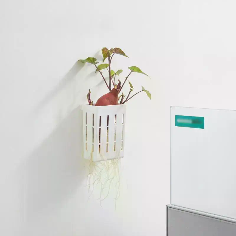 1Pcs Hydroponic Support Basket - Plant Aquarium Pot ulasan dan harga