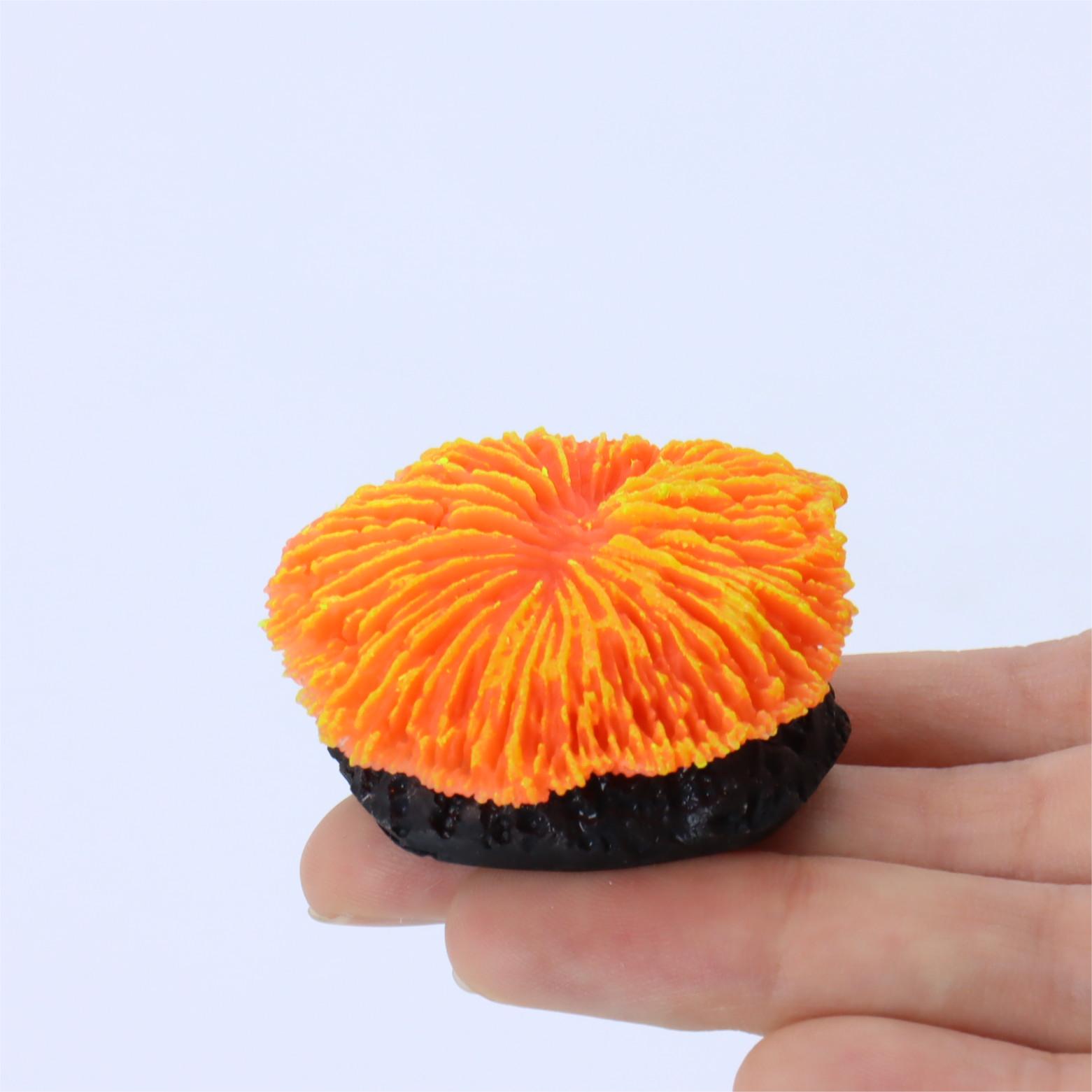 1 Piece Aquarium Decoration Sa - Live Plant Aquarium ulasan dan harga