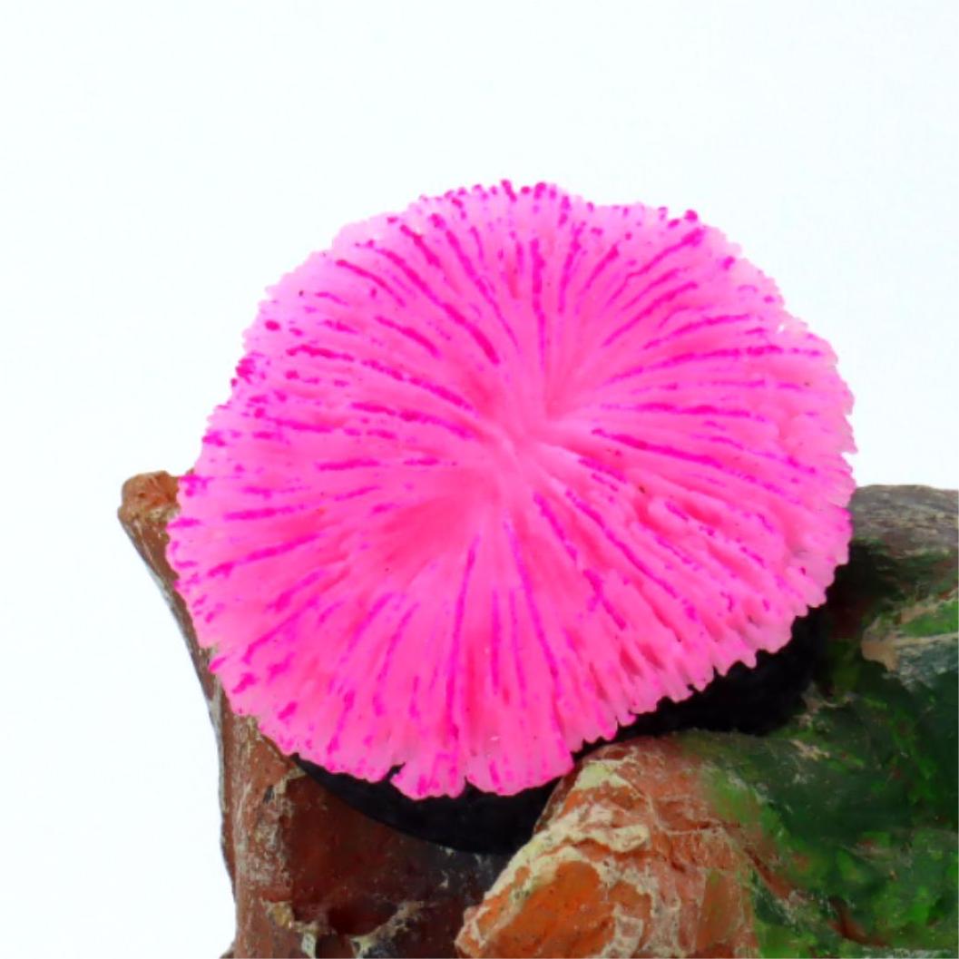 1 Piece Aquarium Decoration Sa - Live Plant Aquarium ulasan dan harga