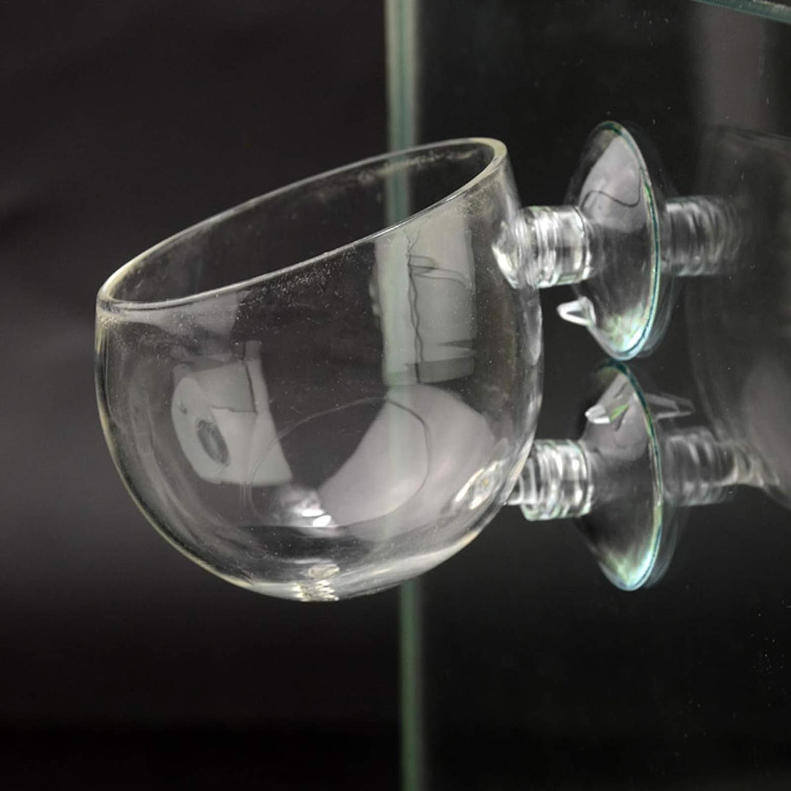 Aquarium Plant Holder Glass Aq - Aquarium Plants Live ulasan dan harga