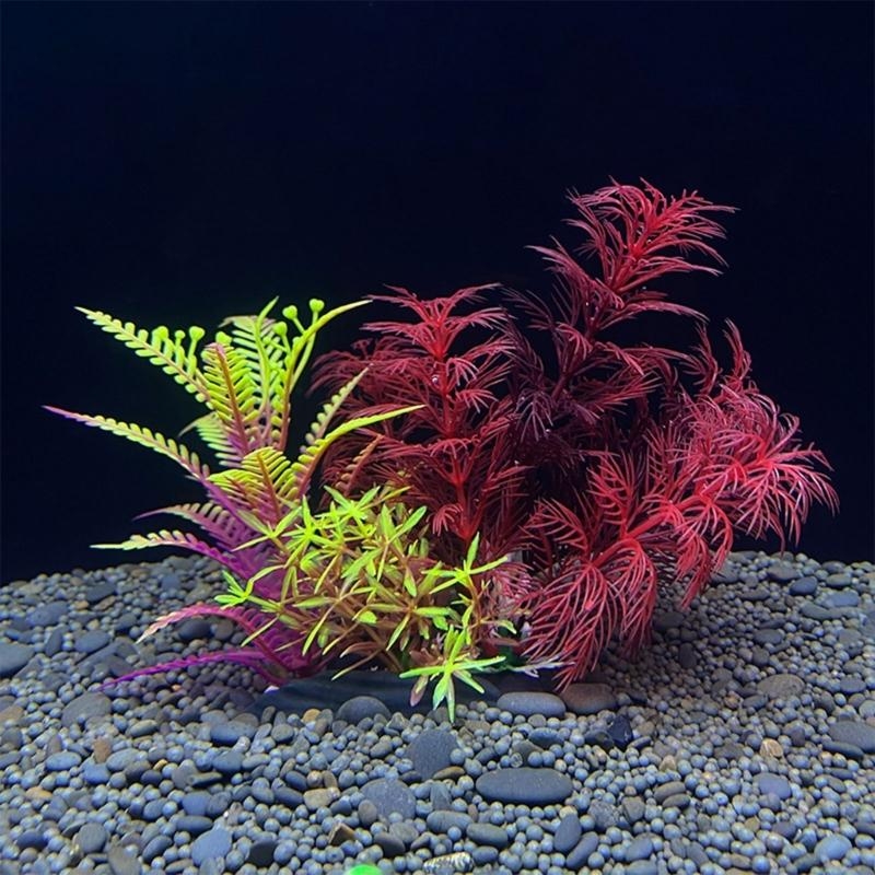 Artificial Aquarium Decoration - Live Plant Aquarium ulasan dan harga