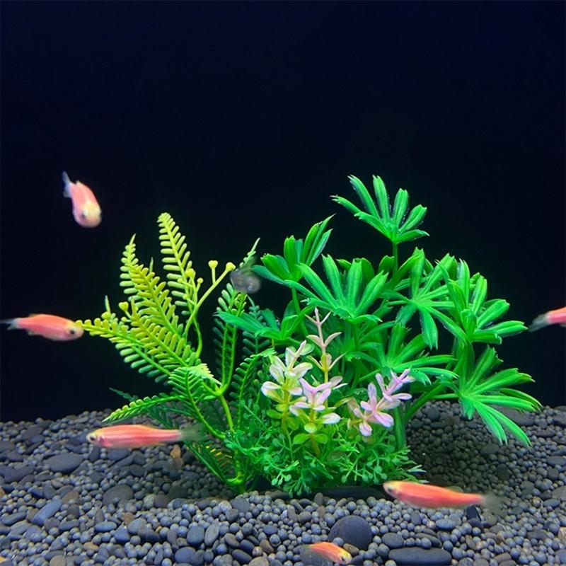 Artificial Aquarium Decoration - Live Plant Aquarium ulasan dan harga