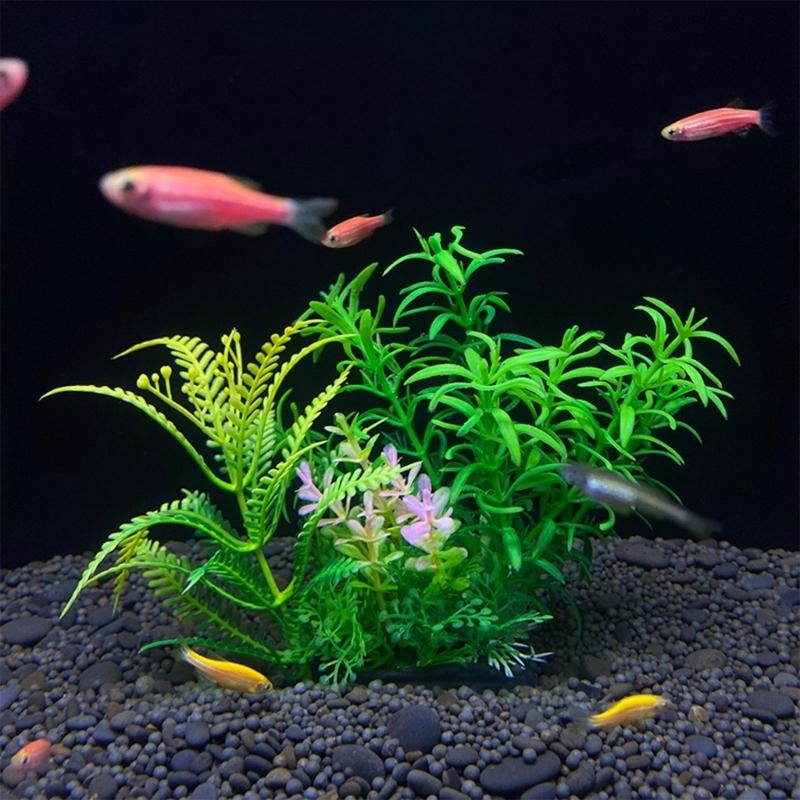 Artificial Aquarium Decoration - Live Plant Aquarium ulasan dan harga