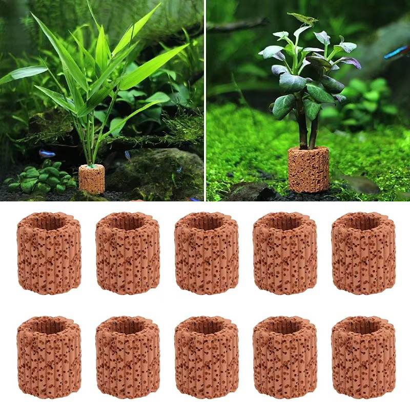 Aquatic Plant Fixed Ring for A - Plant Aquarium Pot ulasan dan harga