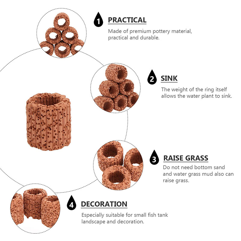 Aquatic Plant Fixed Ring for A - Plant Aquarium Pot ulasan dan harga