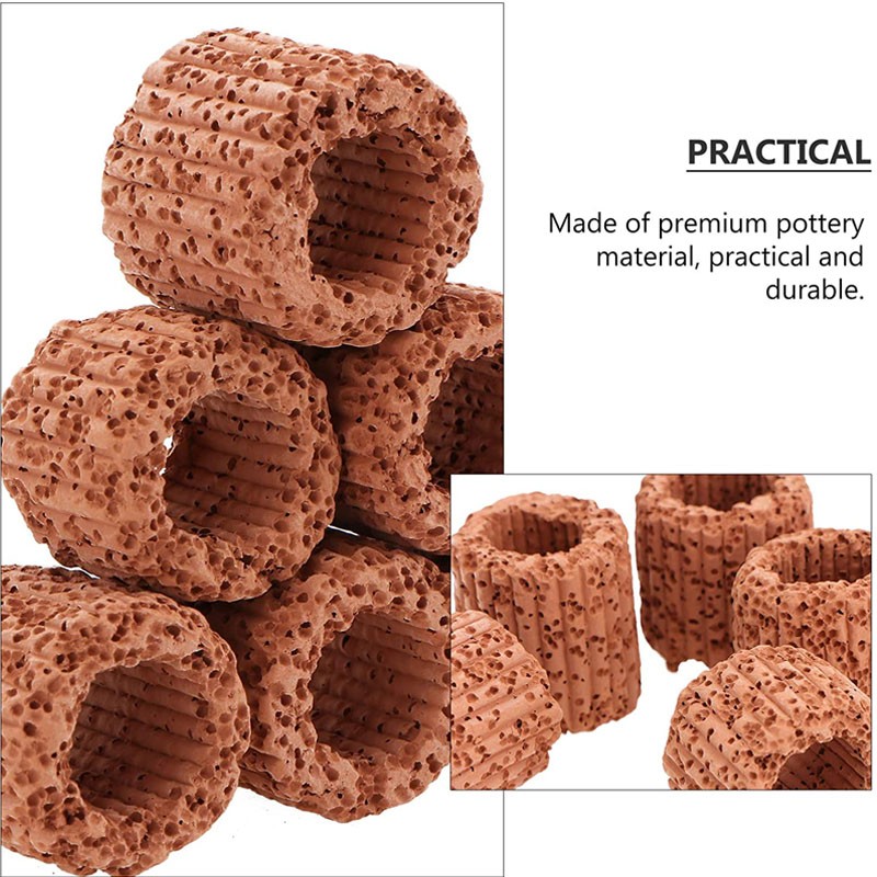 Aquatic Plant Fixed Ring for A - Plant Aquarium Pot ulasan dan harga