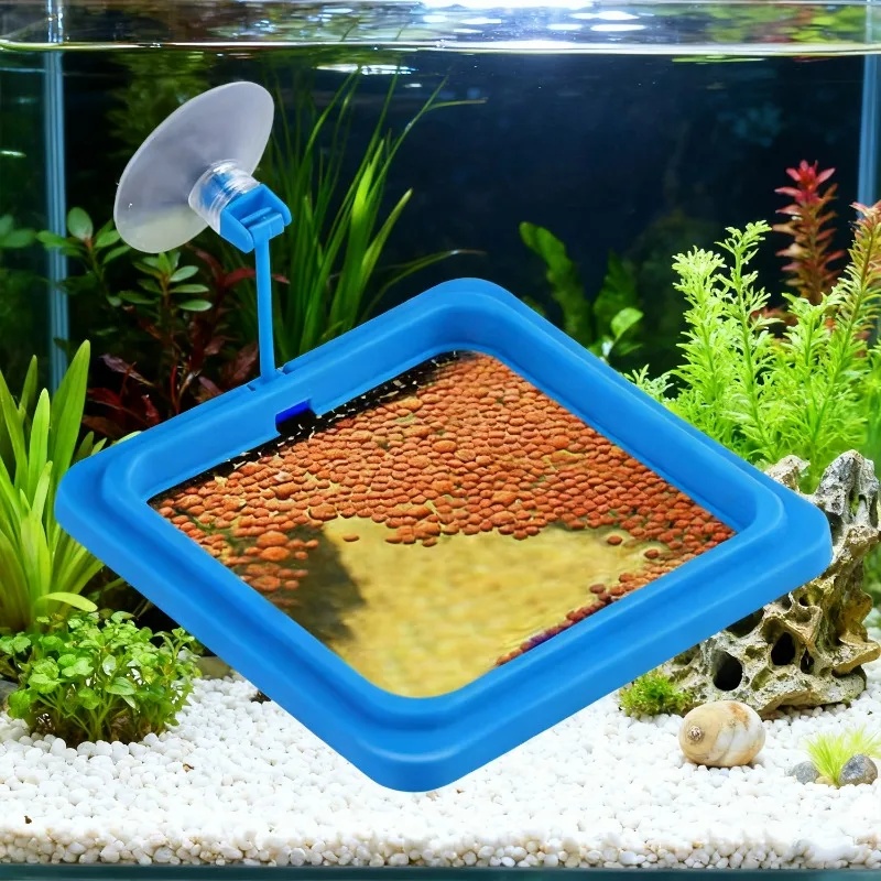 Aquarium Feeding Ring Fish Tan - Aquarium Fertilizer ulasan dan harga