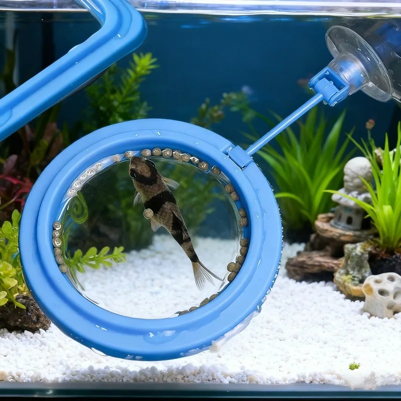 Aquarium Feeding Ring Fish Tan - Aquarium Fertilizer ulasan dan harga