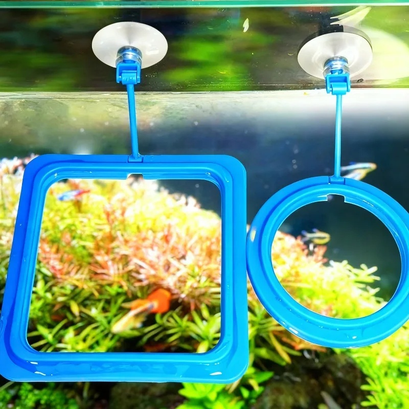 Aquarium Feeding Ring Fish Tan - Aquarium Fertilizer ulasan dan harga