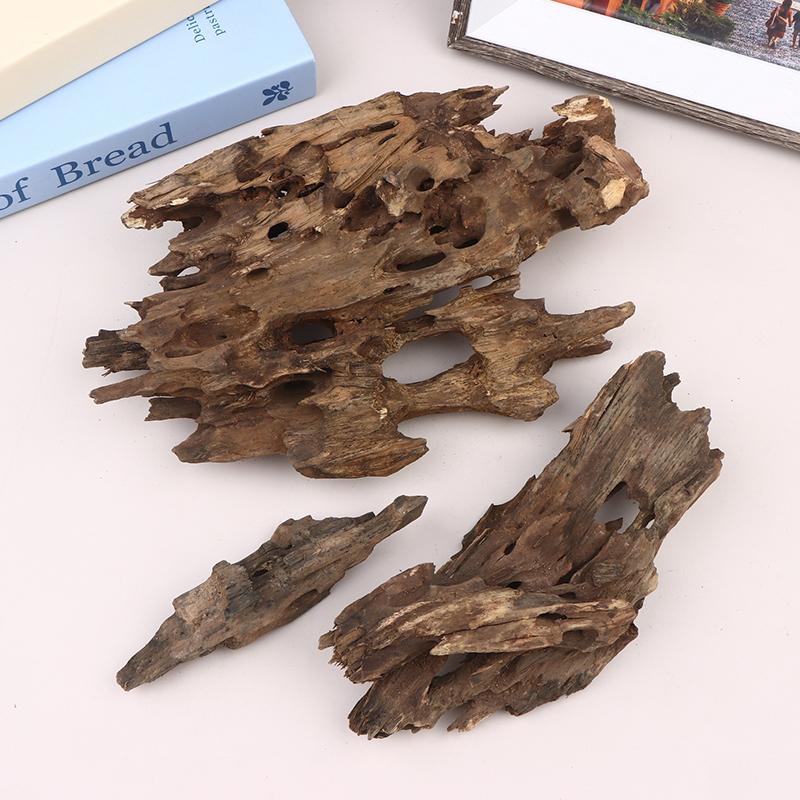 Shrimp Wood Aquarium Decor, Dr - Aquarium Driftwood ulasan dan harga