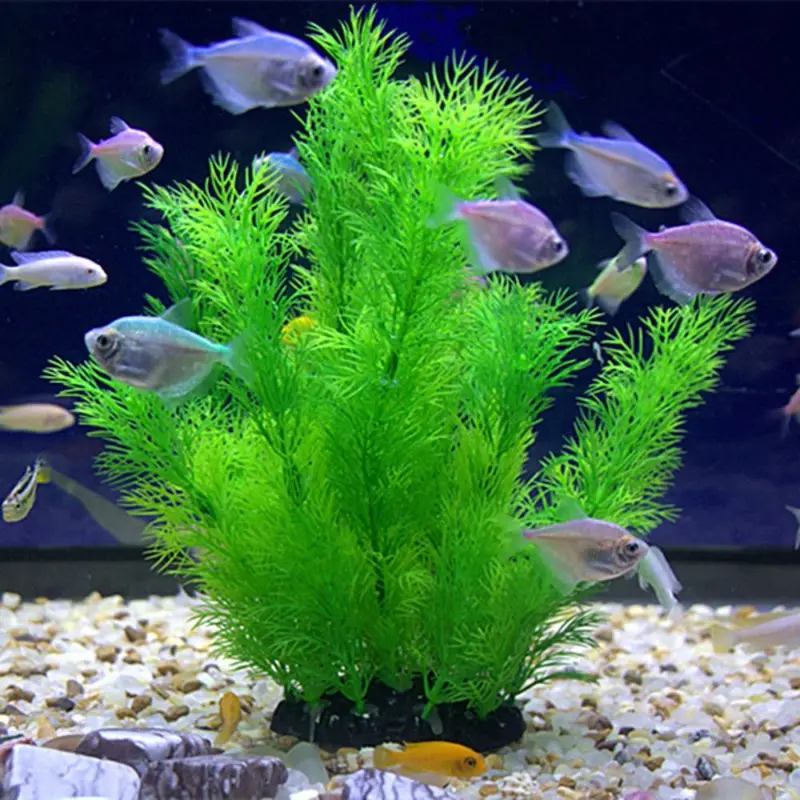 Artificial Aquarium Decor Plan - Aquarium Plants Live ulasan dan harga