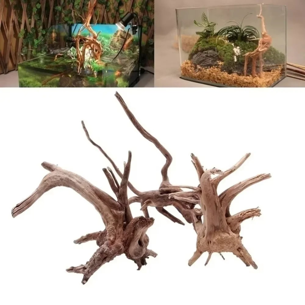 15-20CM Natural Driftwood Aqua - Aquarium Driftwood ulasan dan harga