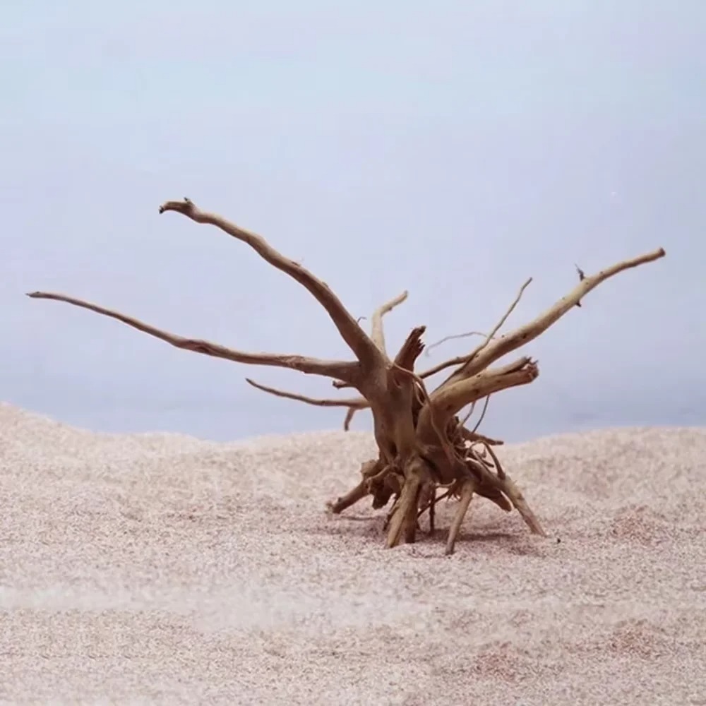 15-20CM Natural Driftwood Aqua - Aquarium Driftwood ulasan dan harga