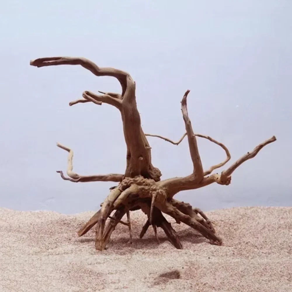 15-20CM Natural Driftwood Aqua - Aquarium Driftwood ulasan dan harga