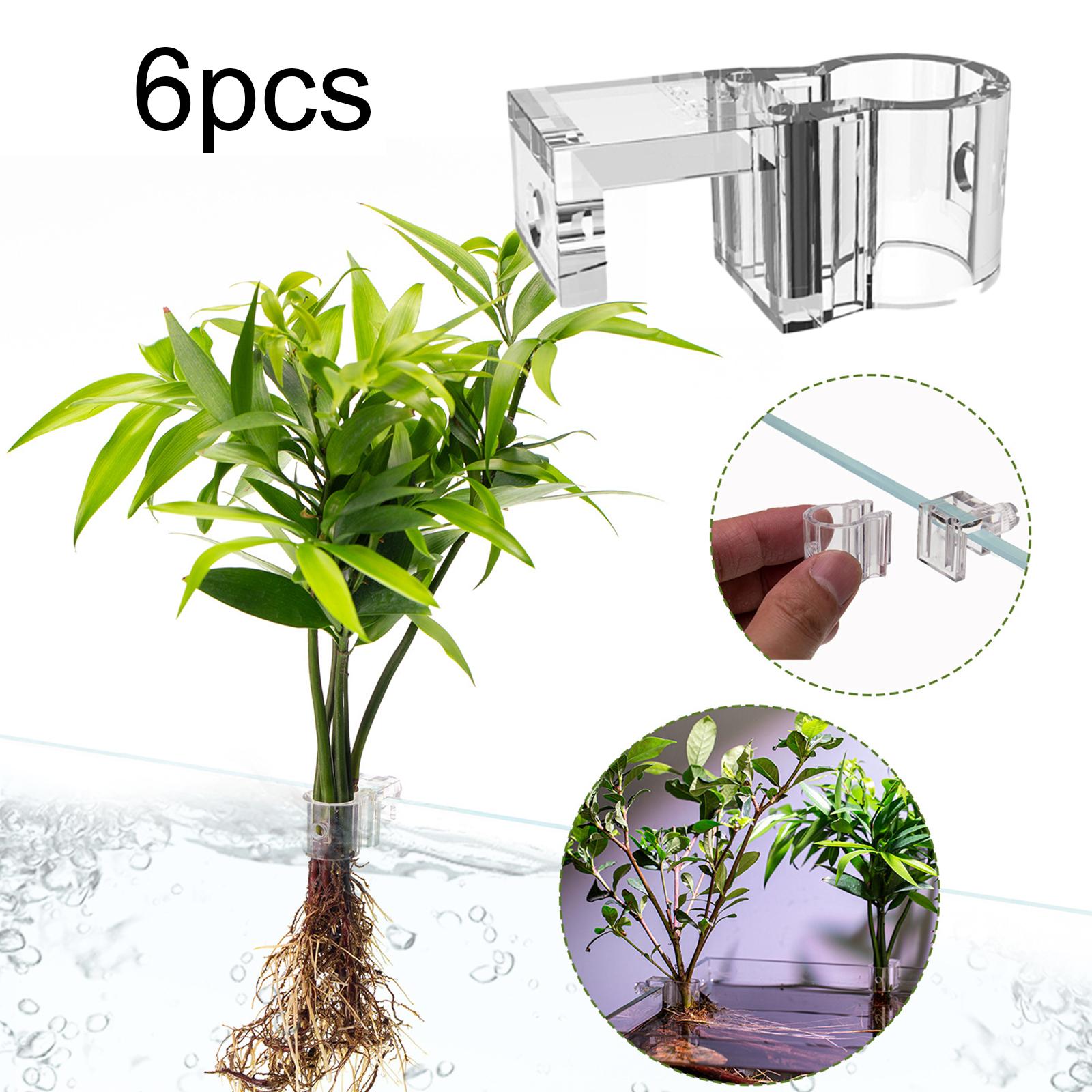 6Pcs Aquarium Plant Holder Sup - Aquarium Fertilizer ulasan dan harga