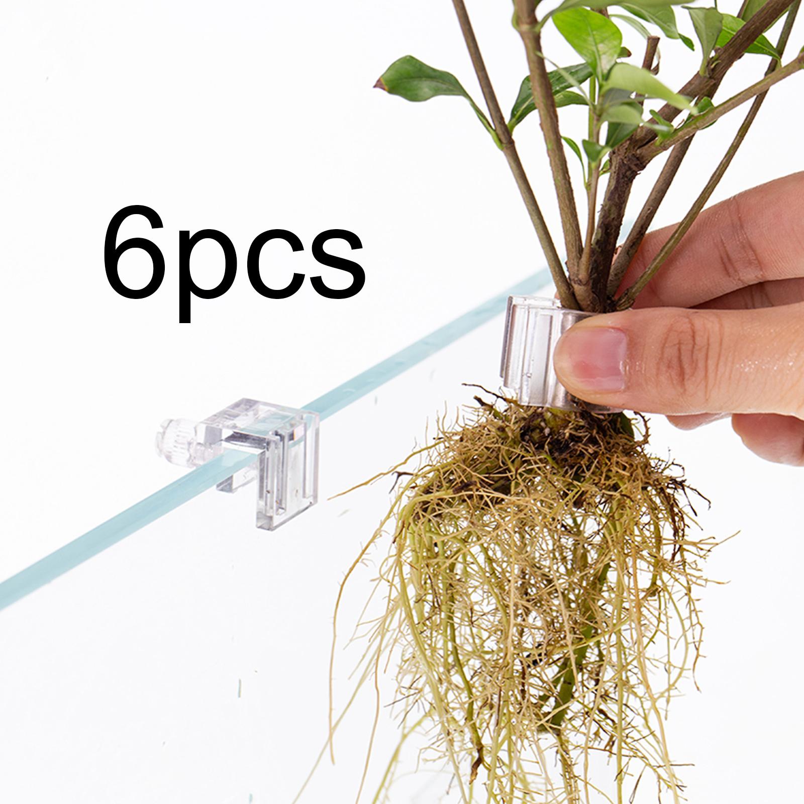 6Pcs Aquarium Plant Holder Sup - Aquarium Fertilizer ulasan dan harga