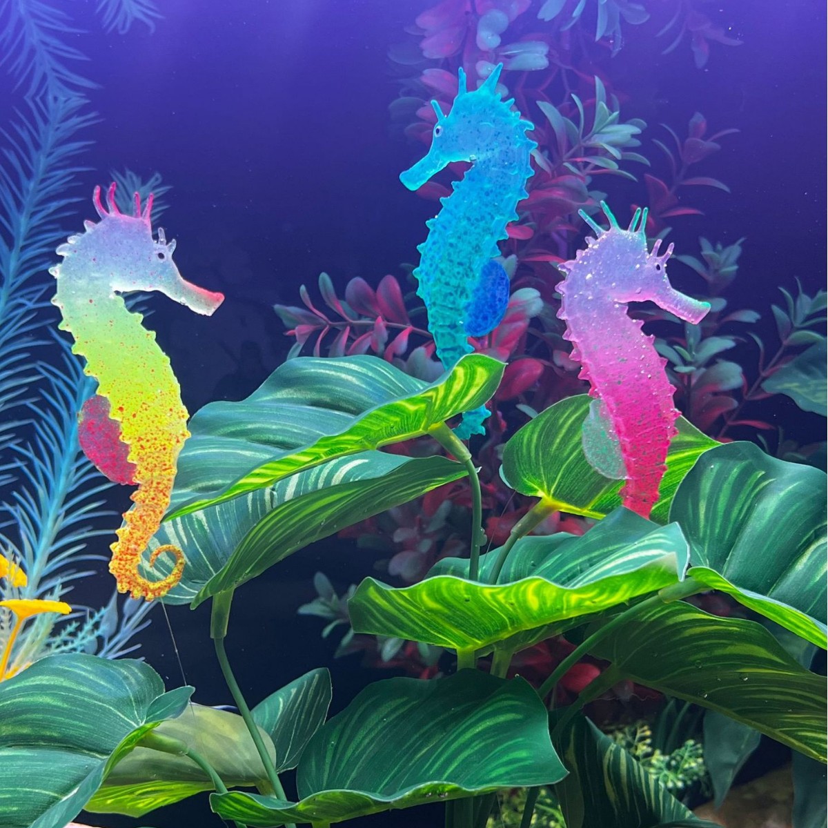 Simulated Luminous Seahorse Fi - Aquarium Plant Substrate ulasan dan harga