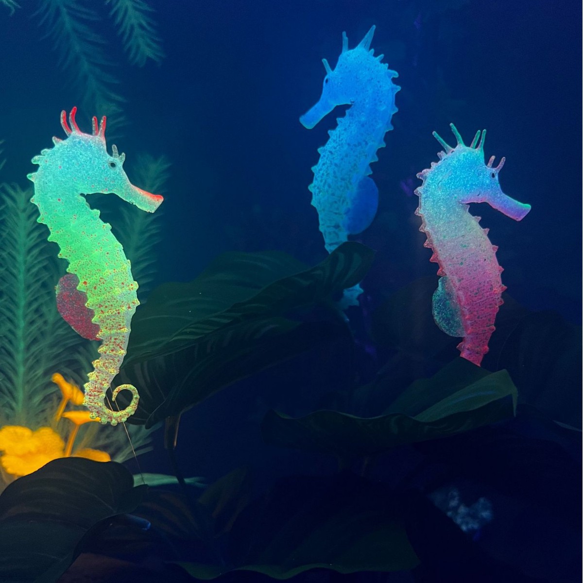 Simulated Luminous Seahorse Fi - Aquarium Plant Substrate ulasan dan harga