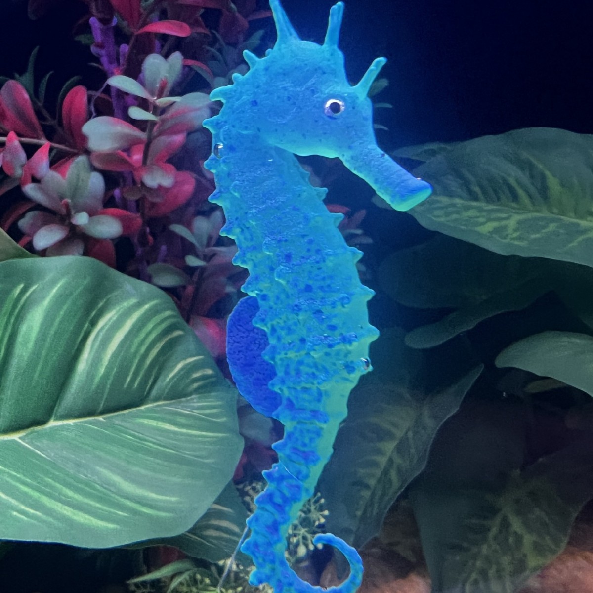 Simulated Luminous Seahorse Fi - Aquarium Plant Substrate ulasan dan harga