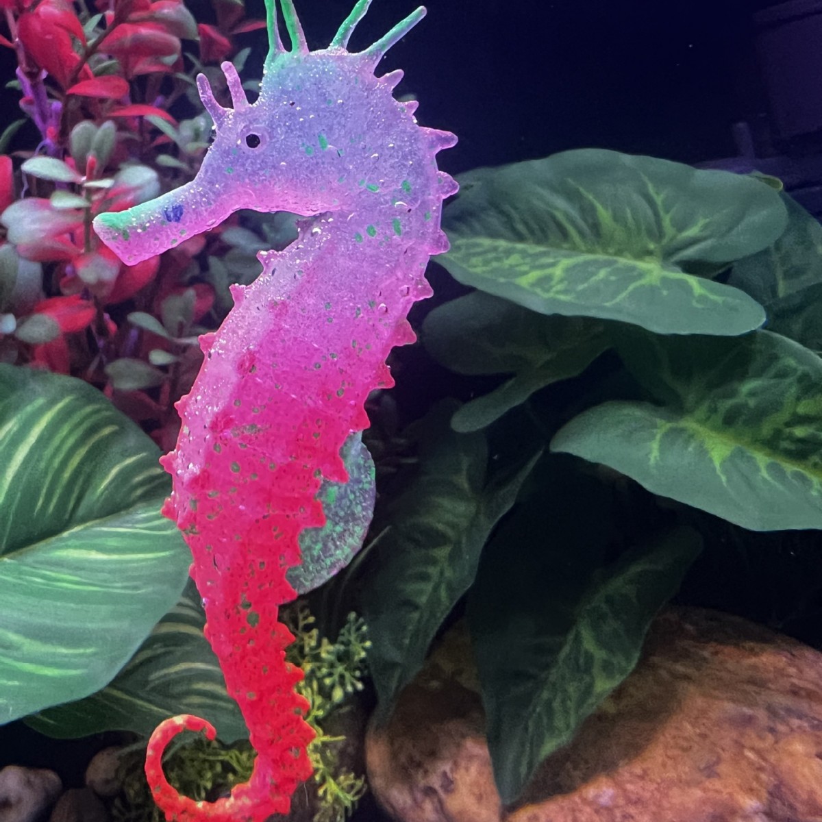 Simulated Luminous Seahorse Fi - Aquarium Plant Substrate ulasan dan harga