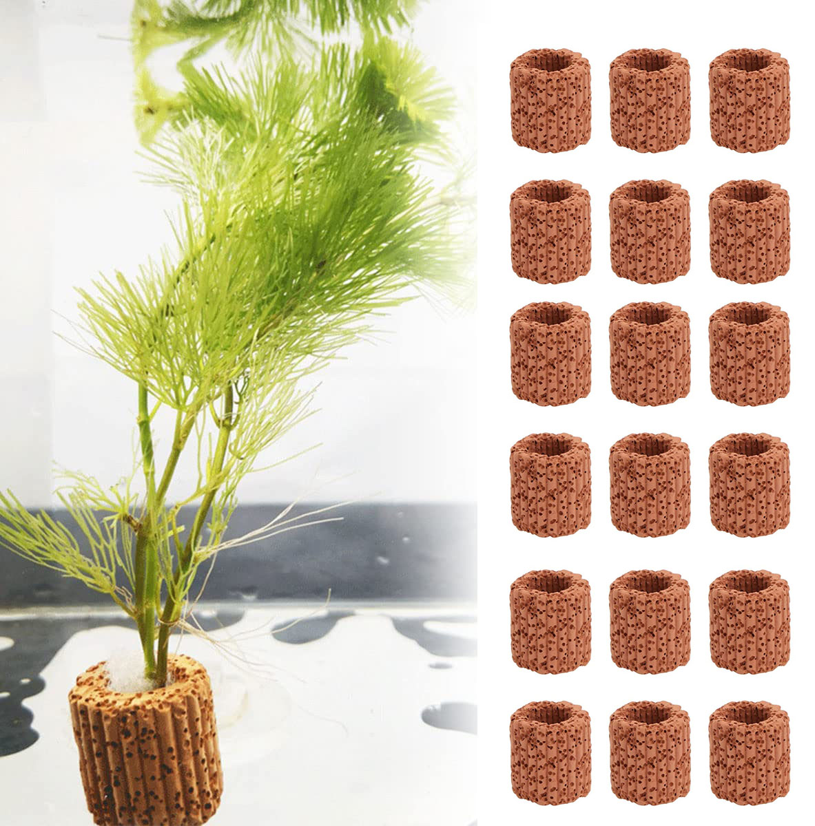 10/20Pcs Aquatic Water Plant F - Plant Aquarium Pot ulasan dan harga
