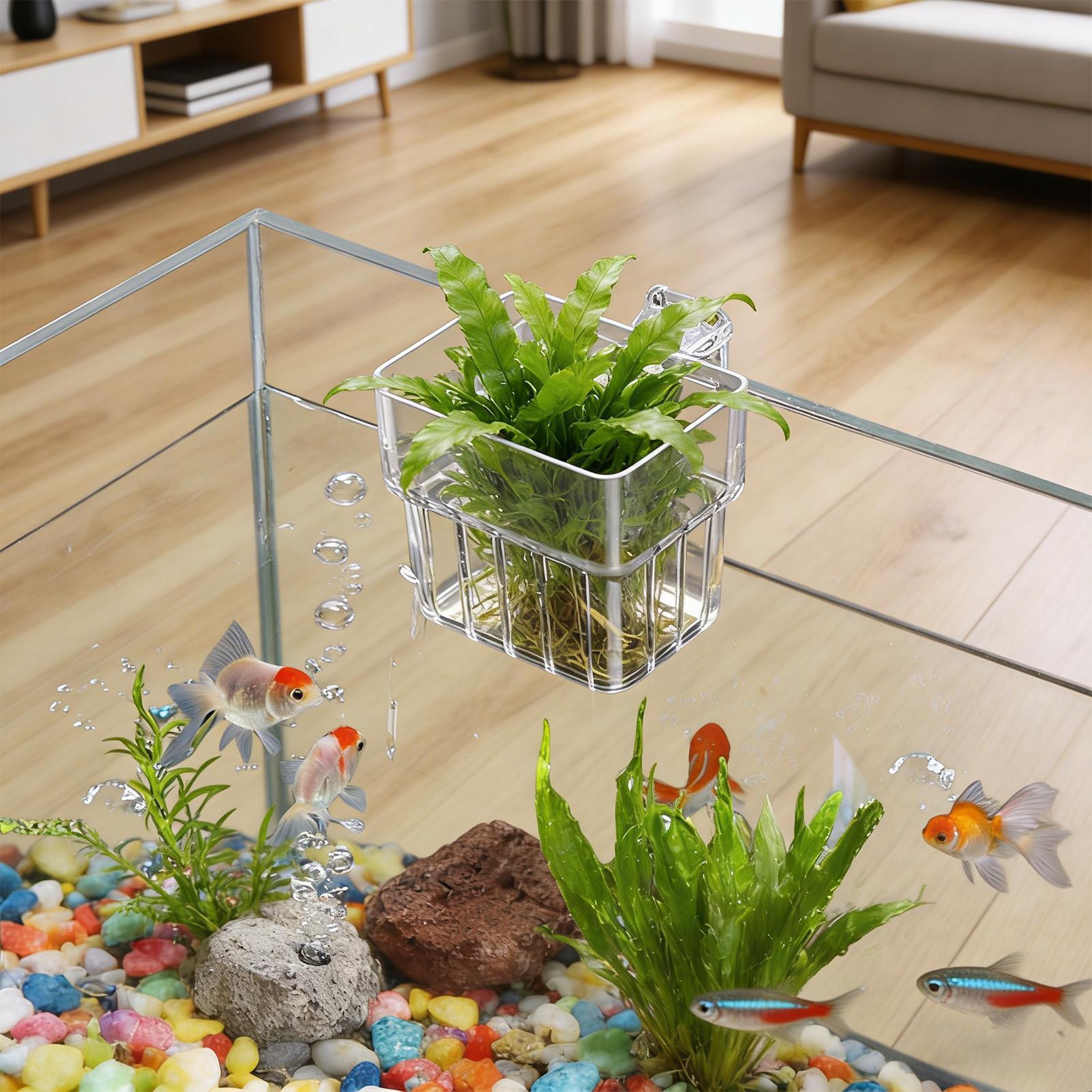 Fish Tank Fixed Basket Wall mo - Aquarium Plants Live ulasan dan harga