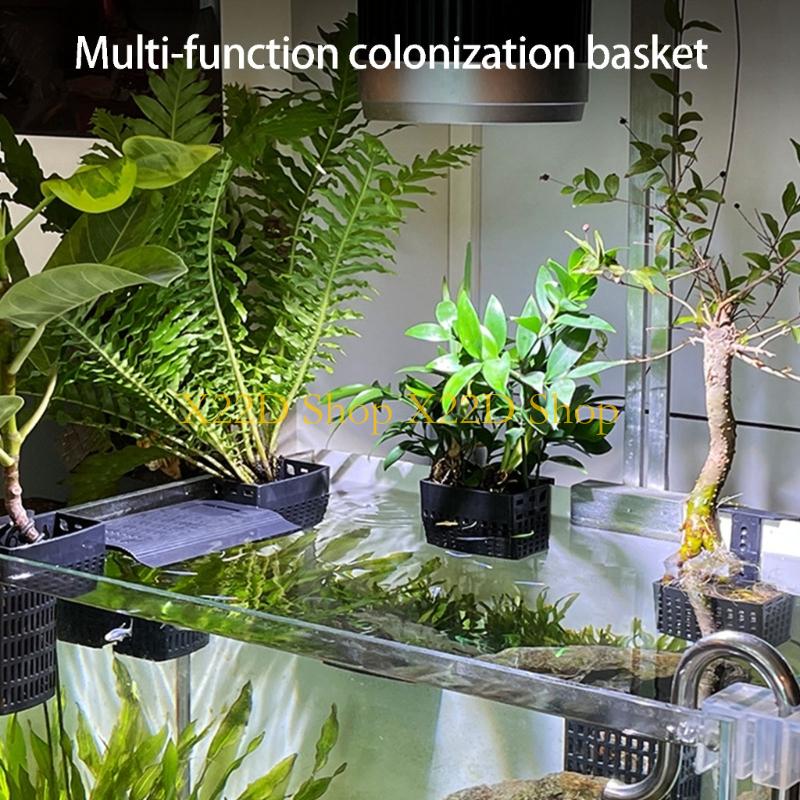 X22D Traditional Styles Vertic - Plant Aquarium Pot ulasan dan harga