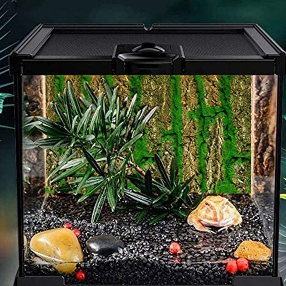 3D Aquarium Background Board S - Aquarium Moss ulasan dan harga