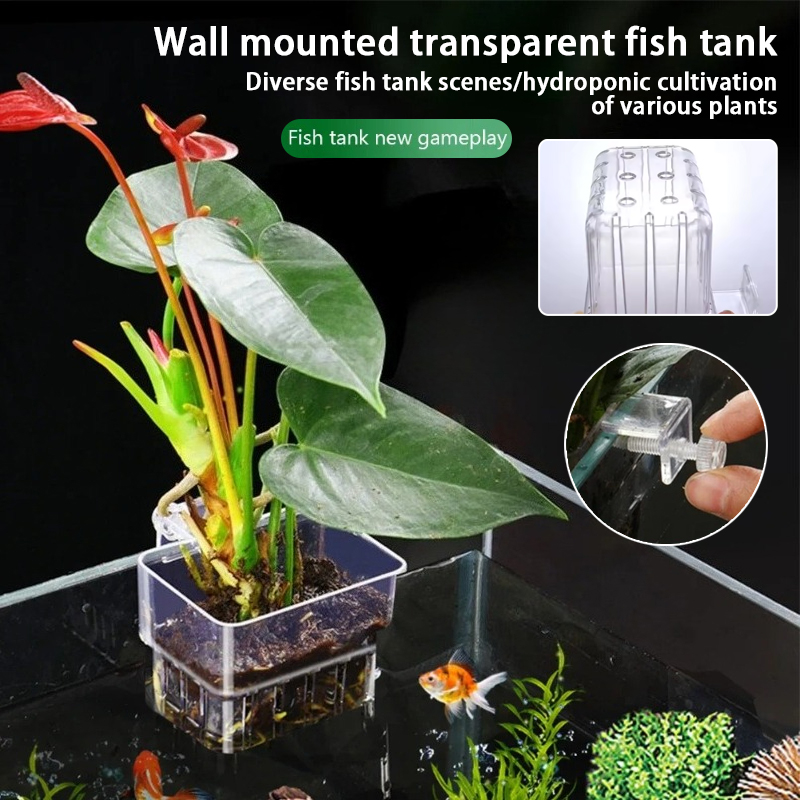 Aquarium Hanging Planter Cups  - Plant Aquarium Pot ulasan dan harga