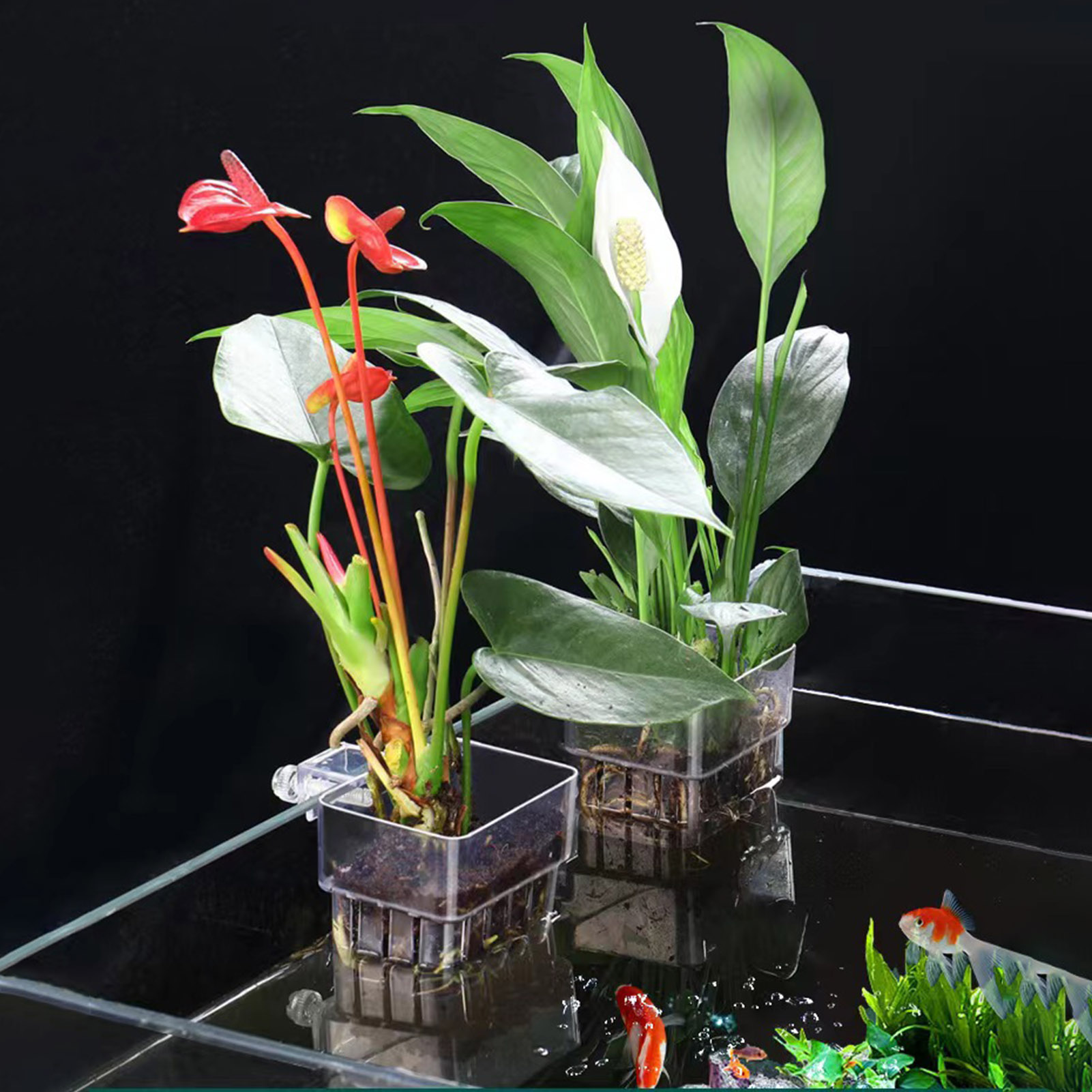 Clear Acrylic Plant Holder Hyd - Aquarium Plant Holder ulasan dan harga