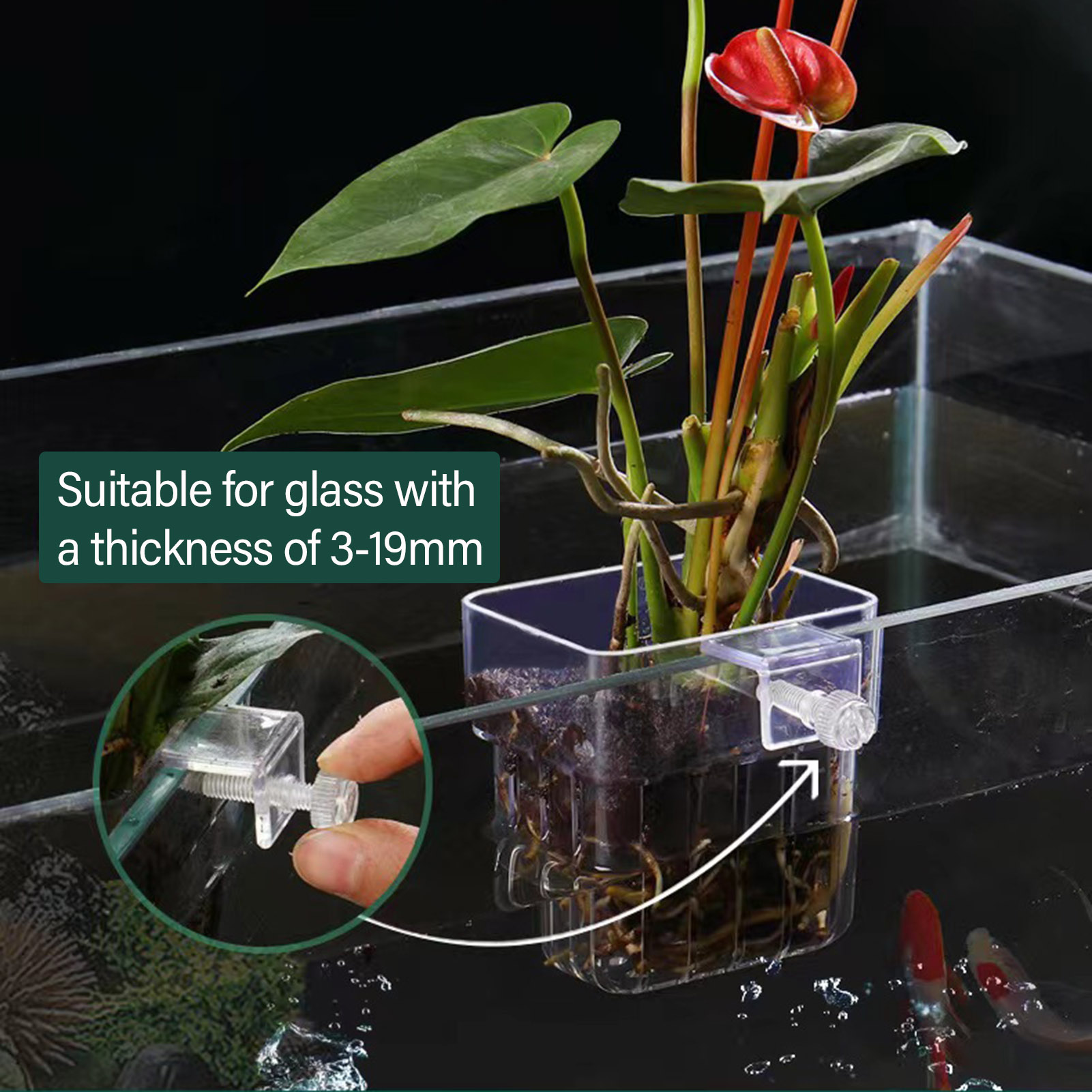 Clear Acrylic Plant Holder Hyd - Aquarium Plant Holder ulasan dan harga