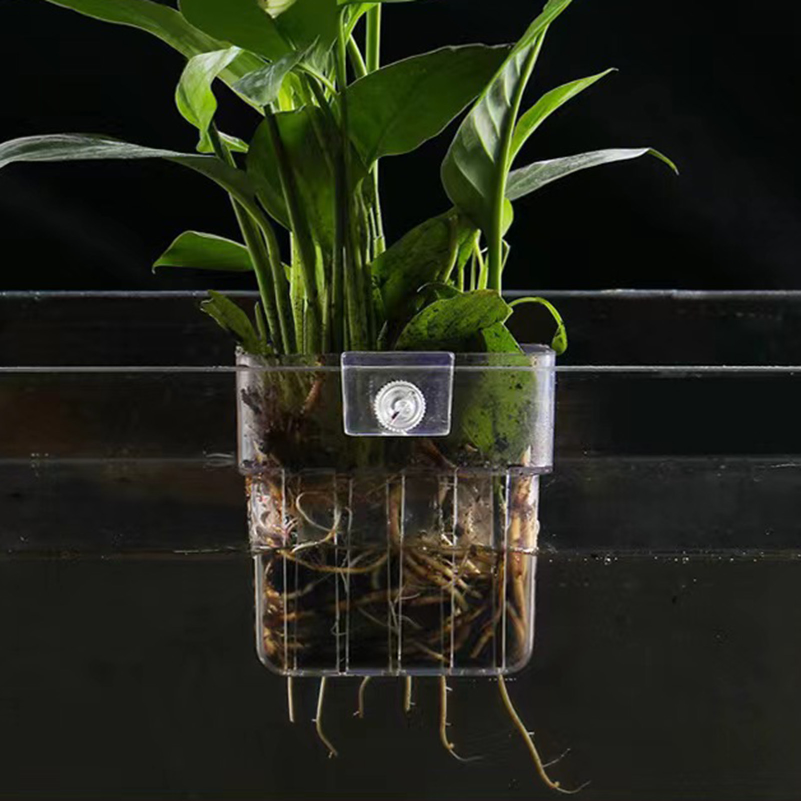 Clear Acrylic Plant Holder Hyd - Aquarium Plant Holder ulasan dan harga