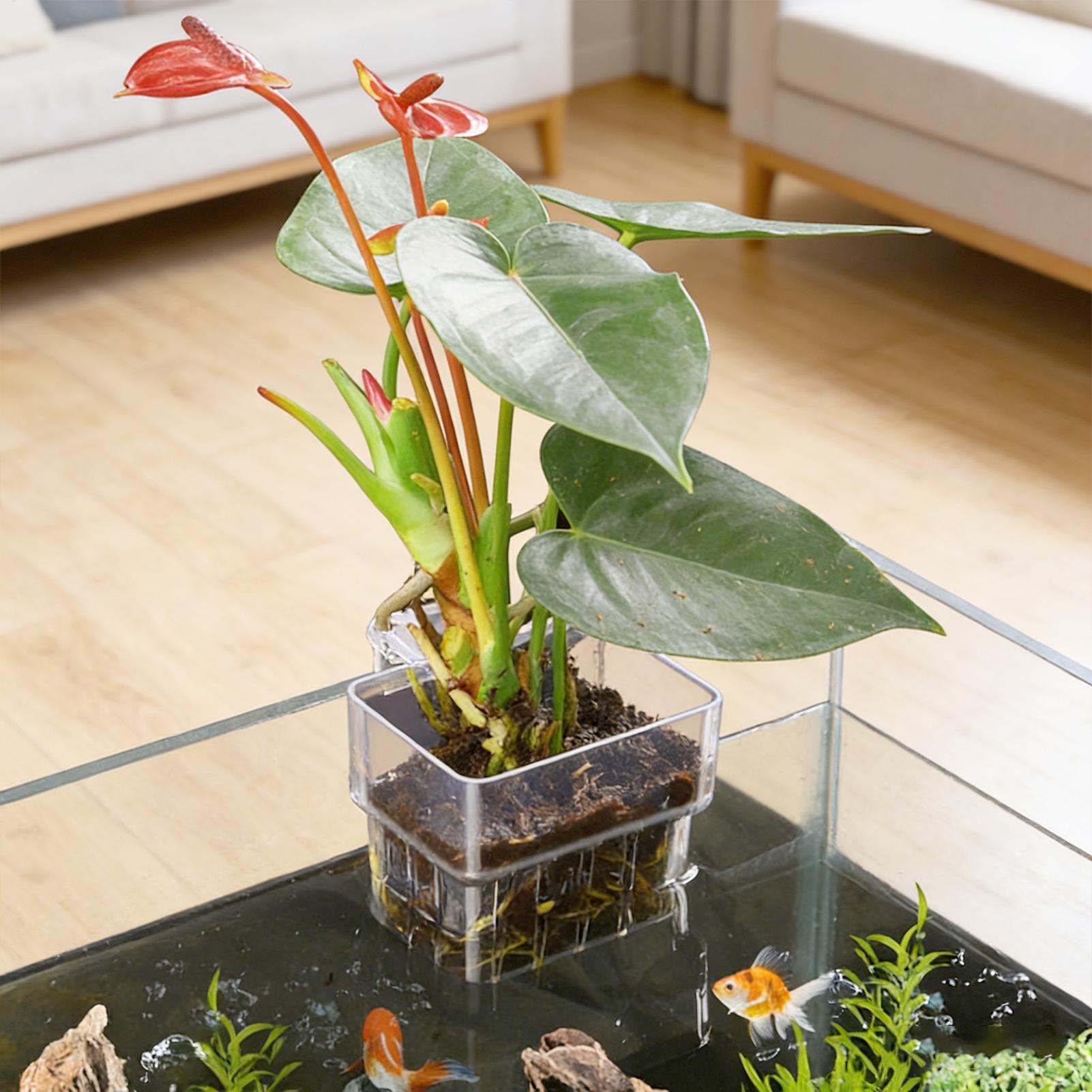 Aquarium Plant Basket Transpar - Plant Aquarium Pot ulasan dan harga