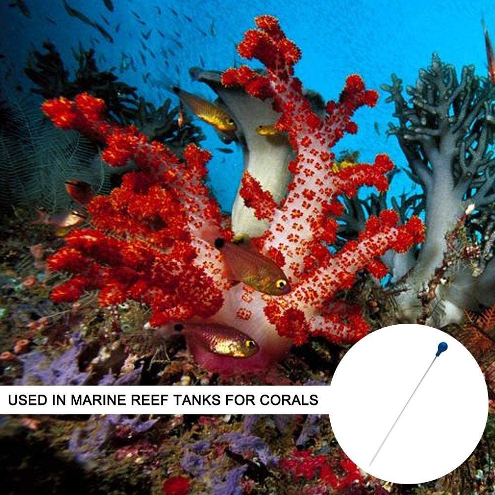 55cm Coral Feeder SPS HPS Feed - Aquarium Fertilizer ulasan dan harga