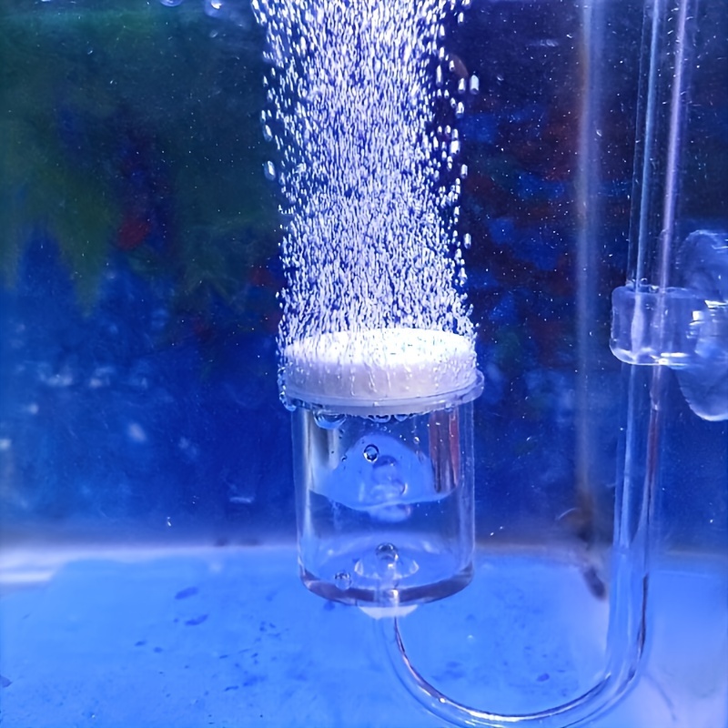 Aquarium Glass CO2 Atomizer Di - Aquarium Liquid Carbon ulasan dan harga